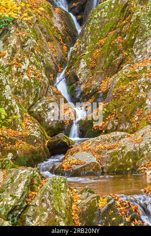 Ruhiger Fluss zwischen den Felsen am Rose Creek im Shenandoah-Nationalpark in Virginia Stockfoto