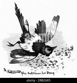 Doed Fugl von Theodor Severin Kittelsen Stockfoto