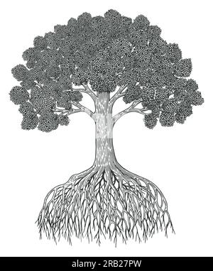 Apfelbaum mit Gravurzeichnung, Vintage-Vektorgrafik Stock Vektor