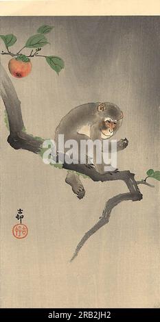 Affe am Baum c.1910; Japan von Ohara Koson Stockfoto