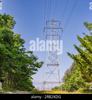 Ein Übertragungsturm, der Überlandleitungen unterstützt Stockfoto