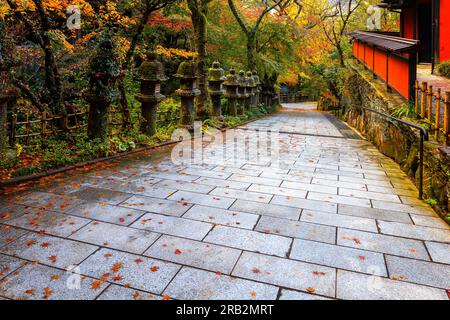 Fukuoka, Japan - Nov. 21 2022: Der Nanzoin-Tempel in Fukuoka beherbergt eine riesige Statue des liegenden Buddha (Nehanzo), der angeblich der größte bron ist Stockfoto