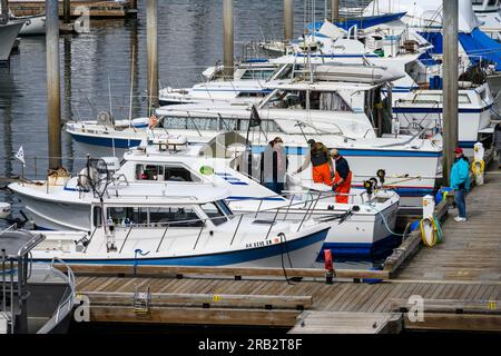 HOMER, AK, USA – 30. MAI 2023: Die Stadt Homer Port & Harbor, in der Fischer auf einem Boot vor Anker nach frisch gefangenen Fischen Ausschau halten Stockfoto