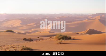 Sonnenaufgangspanorama in der Wüste. Dünen Erg Chebbi in der Sahara bei Merzouga, Marokko, Afrika. Wunderschöne Sandlandschaft mit atemberaubendem Himmel. Stockfoto
