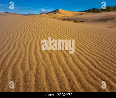 Ibex Dünen, Death Valley National Park, Kalifornien Stockfoto