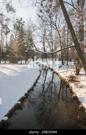 Kleiner Fluss im Winter schneebedeckter öffentlicher Park mit Bäumen und klarem Platz - Mlynka Fluss im Park Bozeny Nemcove öffentlicher Park in Karvina Stadt in tschechischer Repu Stockfoto