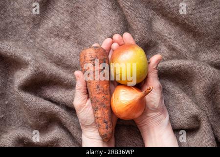 Zwiebeln, Karotten und Apfel schmutzig in den Händen der Großmutter auf dem Tisch, Ernte, Gemüse und Obst Stockfoto