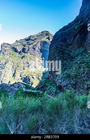 Pico Ruivo - höchster Hügel der Insel Madeira - Blick vom Wanderweg Vereda do Areeiro am Frühlingsmorgen mit klarem Himmel Stockfoto