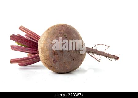 Rote Bete, isoliert auf weiß. Stockfoto