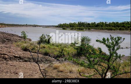 Blick auf den Albert River in Queensland, Australien, mit Pelikanfütterung auf dem Fluss Stockfoto