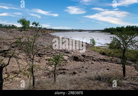 Pelikane, die vom trockenen Ufer aus den Blick auf den Albert River genießen Stockfoto