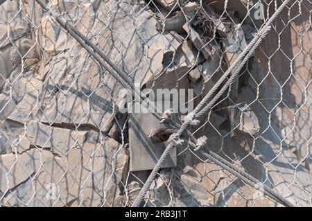 Metallnetz für Steinschlagschutz Stockfoto