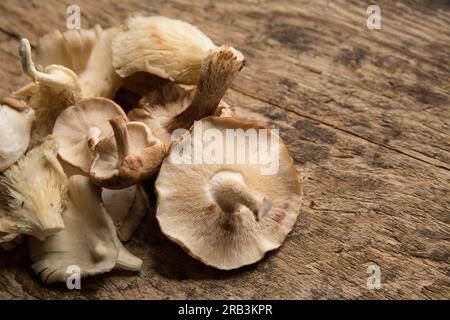 Eine Auswahl an rohen gemischten Pilzen, die in einem Supermarkt in Großbritannien gekauft wurden und auf einem Holzbrett ausgestellt sind. England GB Stockfoto