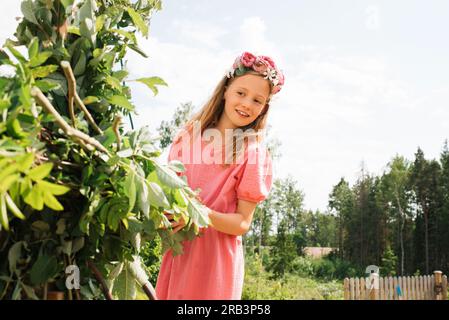 Ein junges Mädchen, das dabei hilft, die Mittelsommerstange in Schweden zu dekorieren Stockfoto