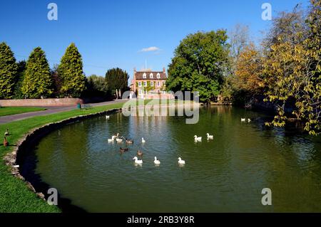 Der Ententeich in Urchfont, Wiltshire. Stockfoto