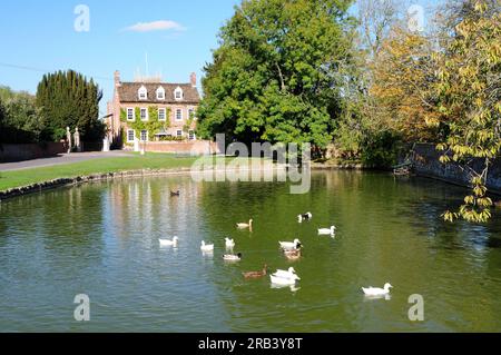 Der Ententeich in Urchfont, Wiltshire. Stockfoto