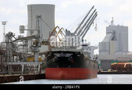 Rostock, Deutschland. 07. Juli 2023. Ein Getreidefrachter wird am Hafen von Rostock abgewickelt. Rostock Port wird seine Halbjahresergebnisse auf einer Pressekonferenz am 07.07.2023 vorstellen. In den ersten sechs Monaten dieses Jahres passierten 15,8 Millionen Tonnen Güter am Kai im Überseehafen von Rostock. Dies ist ein Anstieg von zehn Prozent im Vergleich zum Vorjahr. Die Zahl der beförderten Fährpassagiere stieg um fünf Prozent auf eine Million. Kredit: Bernd Wüstneck/dpa/Alamy Live News Stockfoto