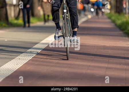 Roter Fahrradweg neben Bürgersteig Stockfoto