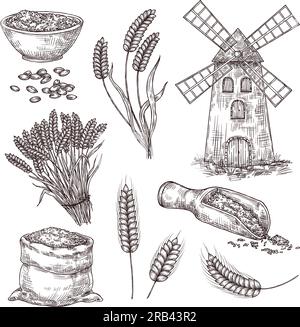 Handgezogener Weizen. Zeichenbeutel mit Körnern, Windmühle, Ohrspitzen und Samen. Vektoranschauungssatz im Vintage-Stil mit Getreide Stock Vektor