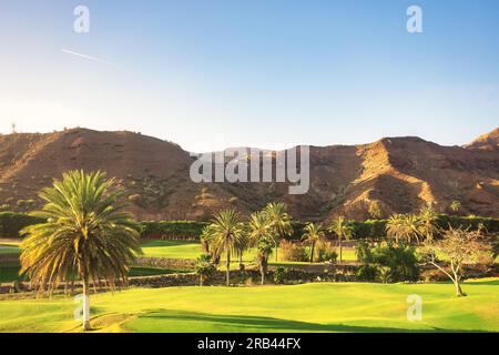 Golfplatz mit Palmen und Bergen im Hintergrund Stockfoto