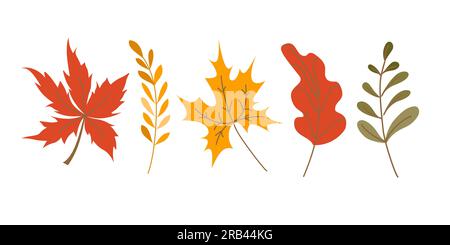 Süßer Herbst-Cartoon mit bunten Blättern. Herbstblätter, isoliert auf weißem Hintergrund. Darstellung isolierter Vektoren. Stock Vektor