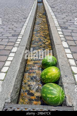 Freiburger Rundlauf (Freiburger Bächle) - künstliche Wasserläufe in den meisten Straßen und Gassen der Altstadt. Baden Wuerttember Stockfoto