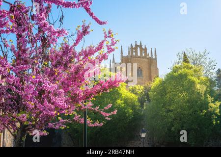 Kloster San Juan de los Reyes - Toledo, Spanien Stockfoto