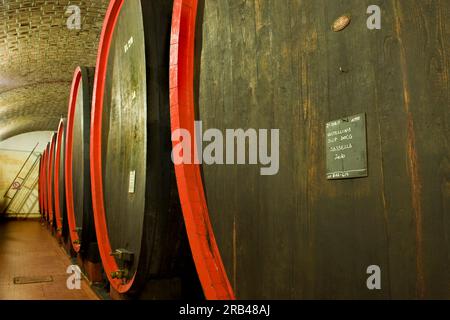 Italien, Lombardei, Valtellina, Chiuro, Casa Vinicola Nino Negri, Nino Negri Weingut, callar Stockfoto