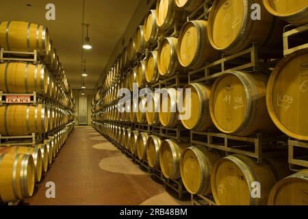 Italien, Lombardei, Valtellina, Chiuro, Casa Vinicola Nino Negri, Nino Negri Weingut, callar Stockfoto