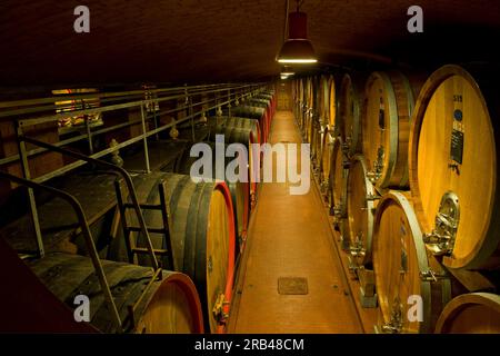 Italien, Lombardei, Valtellina, Chiuro, Casa Vinicola Nino Negri, Nino Negri Weingut, callar Stockfoto