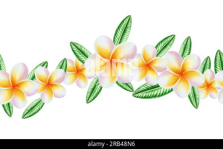 Aquarell nahtlose Umrandung realistische tropische Darstellung von Plumeria-Blüten mit isolierten Blättern auf weißem Hintergrund. Wunderschöne botanische Handschmerzen Stockfoto