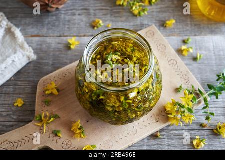 Herstellung von Kräuteröl aus frischen St. Johanniswürzblumen in einem Glasgefäß auf einem Tisch Stockfoto