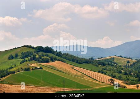 Italien, Emilia Romagna, Castell'Arquato, Landschaft Stockfoto