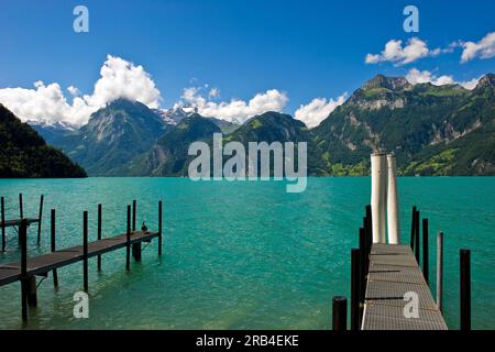 Schweiz, Kanton Schwyz, Brunnen, Sisikon, Vierwaldstättersee, Landschaft Stockfoto