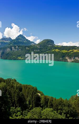 Schweiz, Kanton Schwyz, Brunnen, Vierwaldstättersee Stockfoto