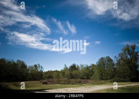 Italien, Lombardei, einsamer Pozzolo, Via Gaggio historische Straße, alte Landebahn Stockfoto