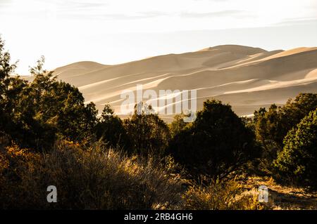 Die unglaublichen Wüstendünen im Great Sand Dunes National Park in Colorado, USA, bei Sonnenuntergang Stockfoto