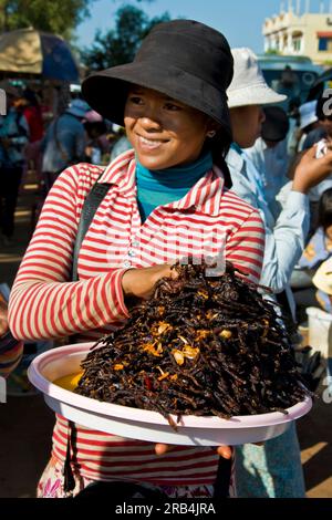 Gebratene Spinnen. Skun-Markt. Umgebung von Siem Reap. Kambodscha Stockfoto