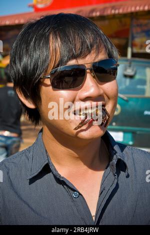 Gebratene Spinnen. Skun-Markt. Umgebung von Siem Reap. Kambodscha Stockfoto