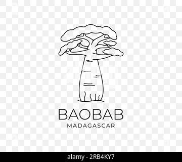 afrikanischer Baobab auf Madagaskar, Nationalpark und Savanne, Natur, Bäume und Pflanzen, lineares grafisches Design. Wald, Savanne, Flora, Landschaft Stock Vektor