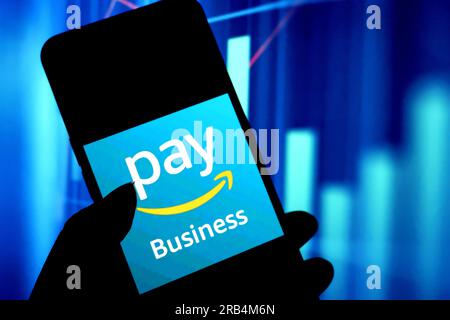 In dieser Fotoabbildung wird ein Amazon Pay-Logo auf einem Smartphone angezeigt. Stockfoto