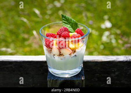 Gesunder Fruchtjoghurt in einem Glas mit frischen, saftigen Himbeeren, Pfirsichen, Mango, Müsli und einem Pfefferminzzweig Stockfoto