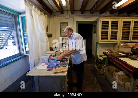 Giulio giannini. ich giannini di firenze. Buchbinder Stockfoto