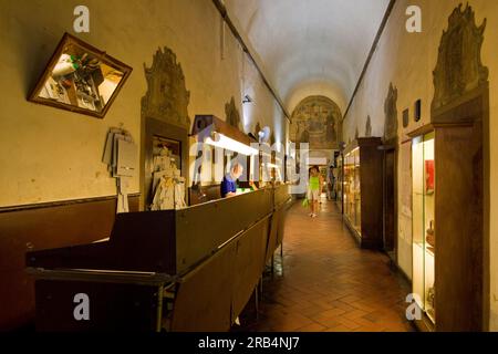 Lederschule. Florenz. Italien Stockfoto