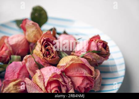 Mehrere rosa getrocknete Rosenknospen auf einem Teller als Inneneinrichtung. Eine Gruppe schöner toter Blüten im Nahbereich als Konzept von vergangener Zeit, Traurigkeit, Depression. Stockfoto