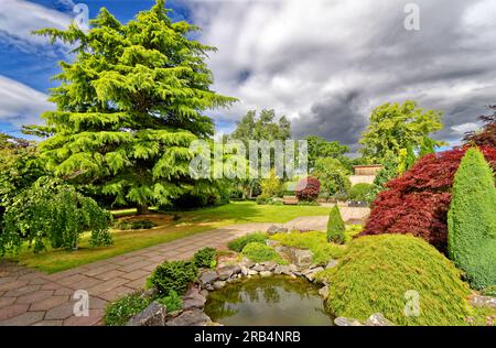 Inverness Botanic Gardens Schottland Tannen Sträucher und ein kleiner Teich im Sommer Stockfoto