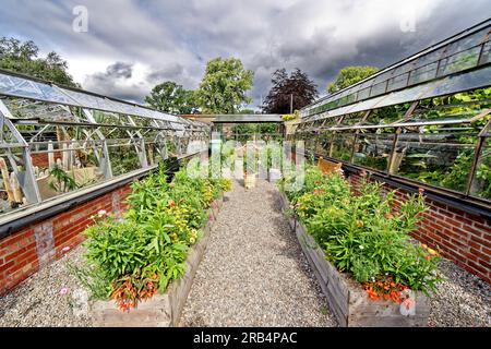 Inverness Botanic Gardens Schottland zwei Gewächshäuser und Pflanzen voller Blumen im Sommer Stockfoto