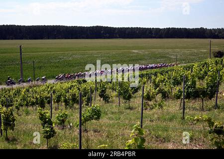 Bordeaux, Frankreich. 07. Juli 2023. Das Reiterpaket, das während der Etappe 7 des Radrennen Tour de France, einem 169 km langen 9 km langen Rennen von Mont-de-Marsan nach Bordeaux, Frankreich, am Freitag, den 07. Juli 2023, in Aktion gezeigt wurde. Die diesjährige Tour de France findet vom 01. Bis 23. Juli 2023 statt. BELGA FOTO JASPER JACOBS Kredit: Belga News Agency/Alamy Live News Stockfoto