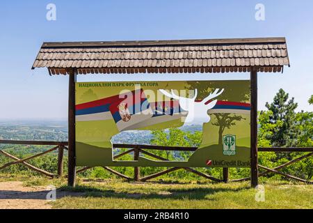 Fruska Gora, Serbien - 03. Juli 2023: Panoramaaussichtspunkt Zmajevac im Nationalpark Fruska Gora Berg Vojvodina sonniger Sommertag. Stockfoto