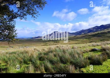 CAHA-Berge südlich von Ardgroom auf der Beara-Halbinsel, County Cork, Irland - John Gollop Stockfoto